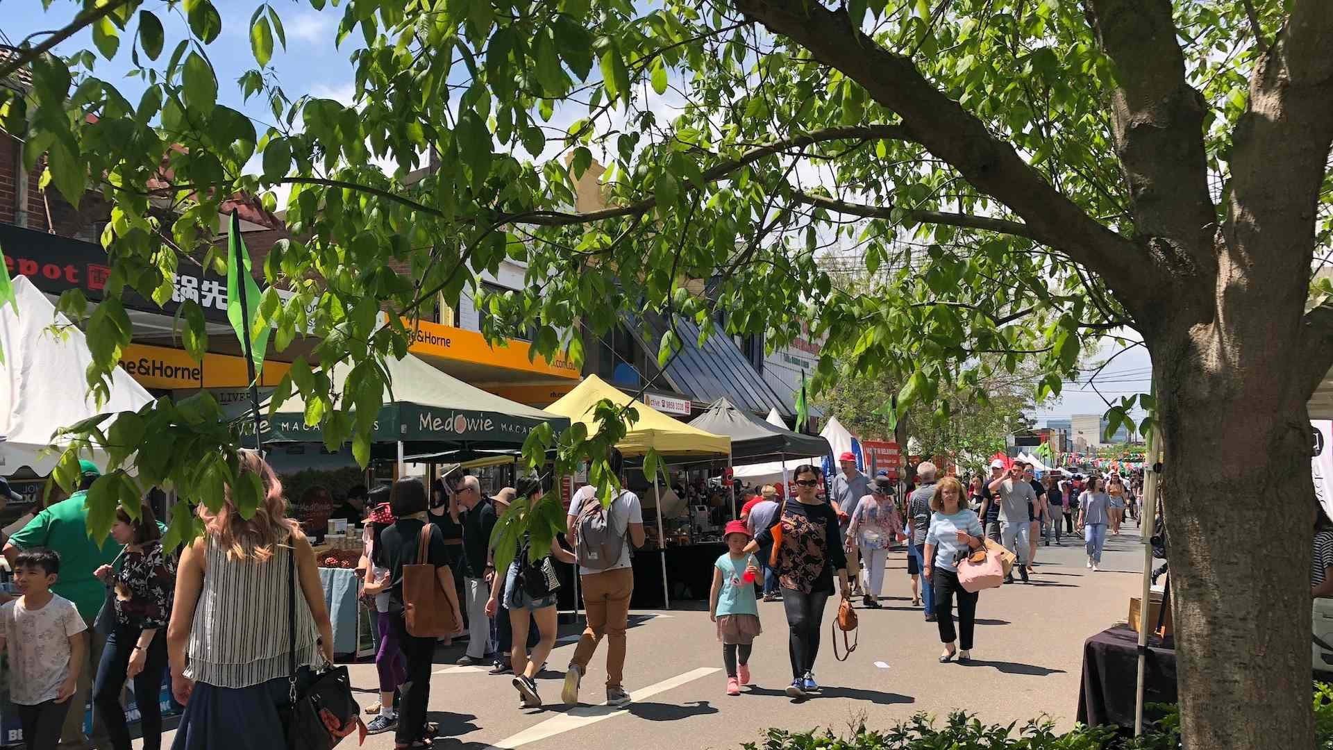 Granny Smith Festival Concrete Playground