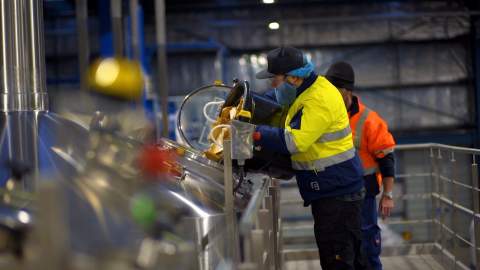 Woolworths Has Made a Limited-Edition Pale Ale from 350 Kilograms of Leftover Bread