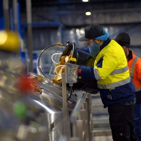 Woolworths Has Made a Limited-Edition Pale Ale from 350 Kilograms of Leftover Bread