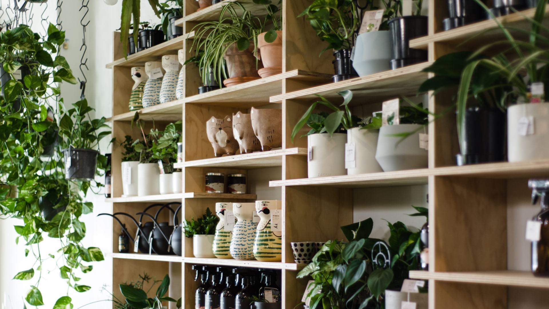 Where to Shop Like a Local In and Around Yarraville
