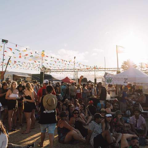 Southeast Queensland Is Getting a New Waterside Reggae Festival Headlined by Shaggy and Sean Paul