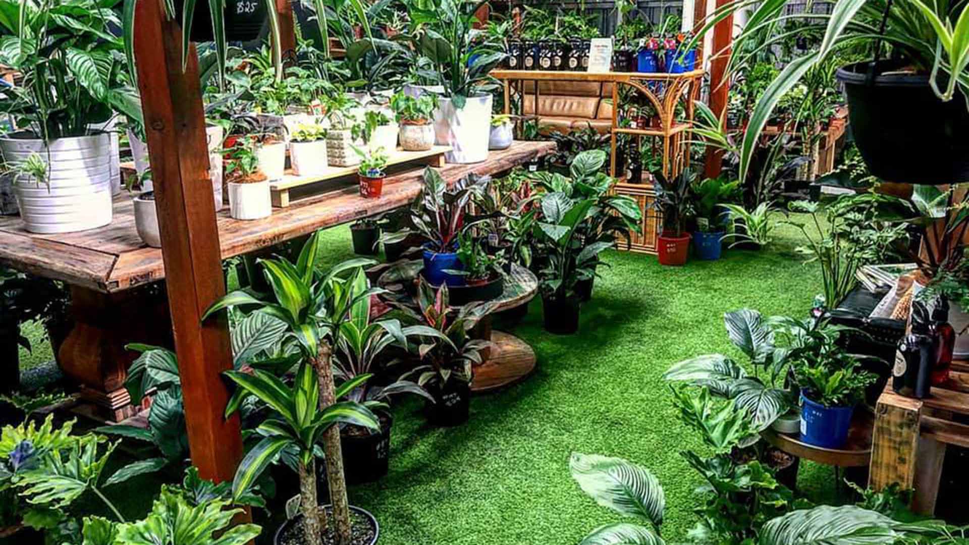 Greenhouse Plant Sale