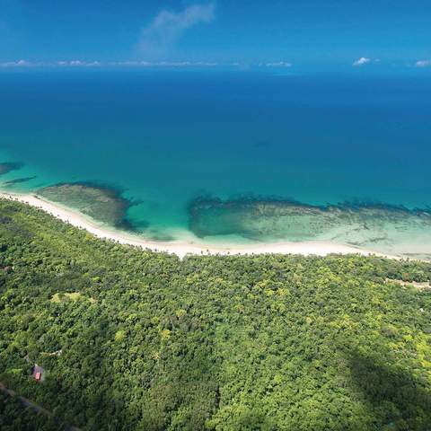 Cape Tribulation Beach - one of the best beaches in Australia