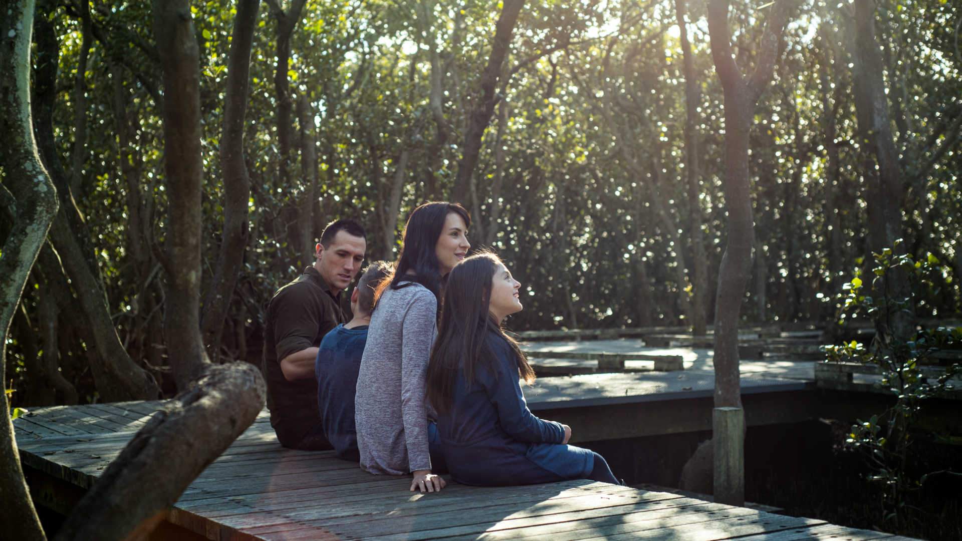 Badu Mangrove Boardwalk