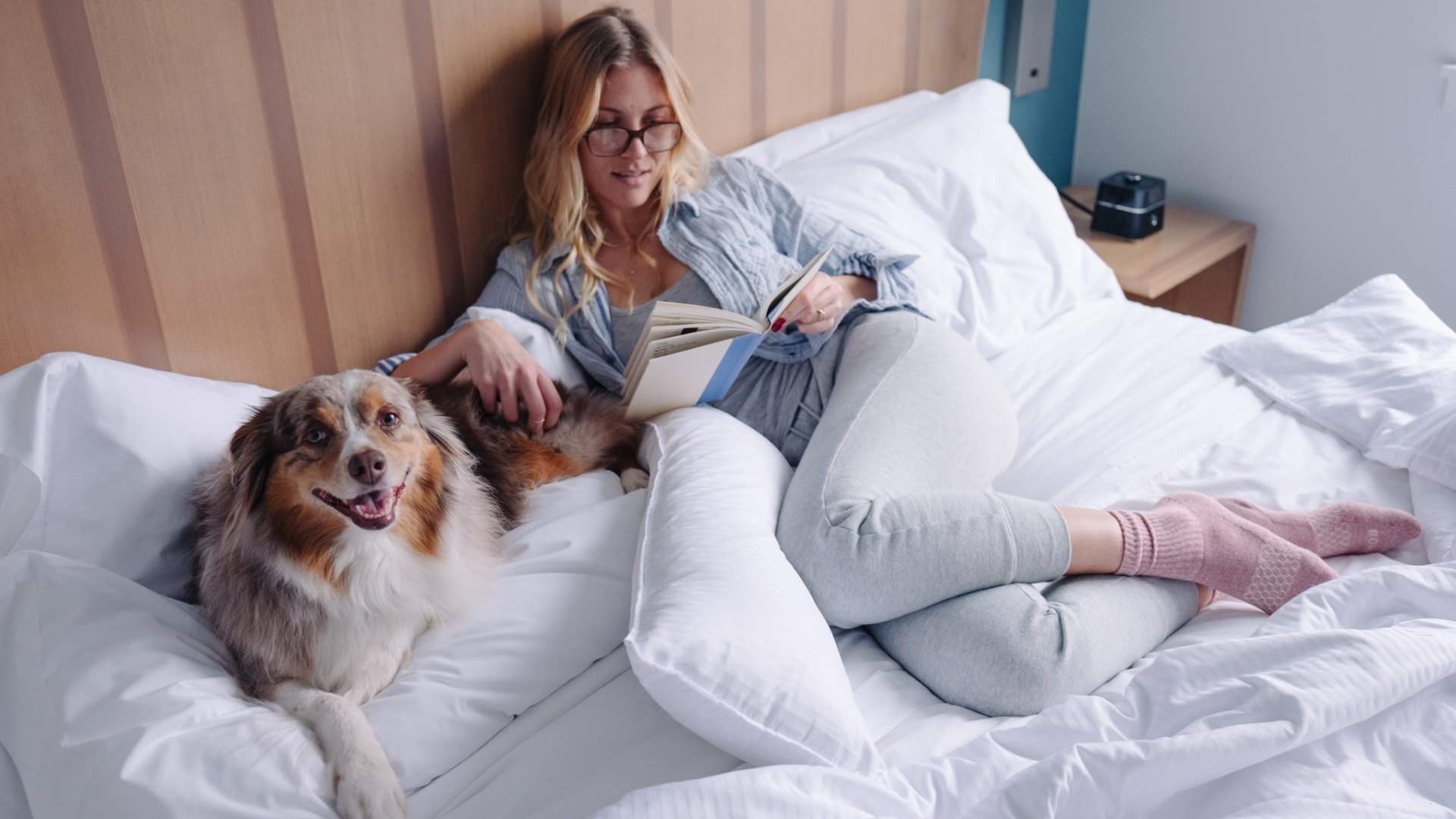 Element Richmond Is the Pet-Friendly Melbourne Hotel That'll Let Your Pooch Stay In Your Room