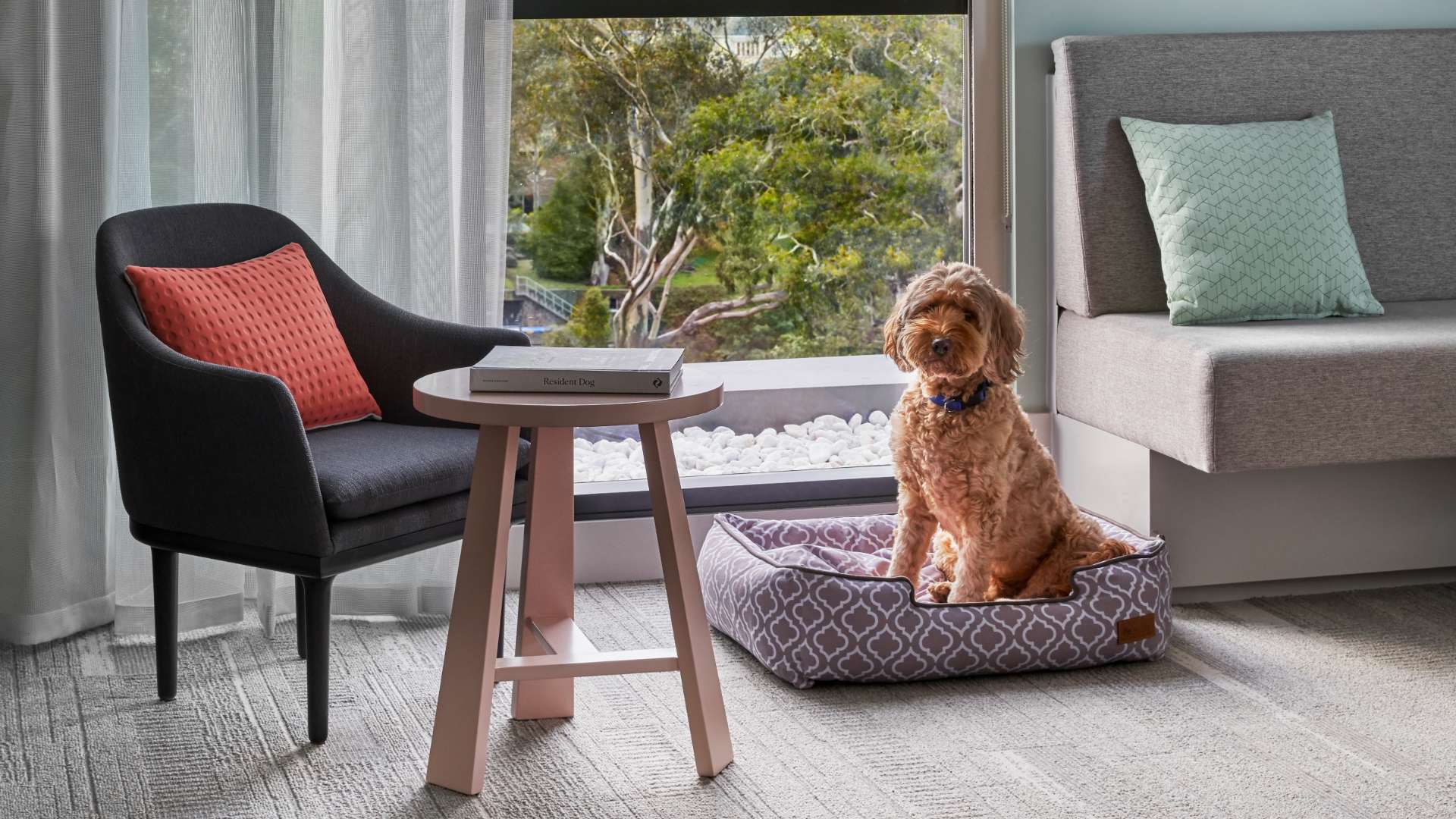 Element Richmond Is the Pet-Friendly Melbourne Hotel That'll Let Your Pooch Stay In Your Room