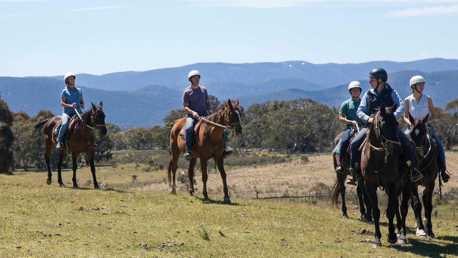 Group horse riding in the Snowy Mountains