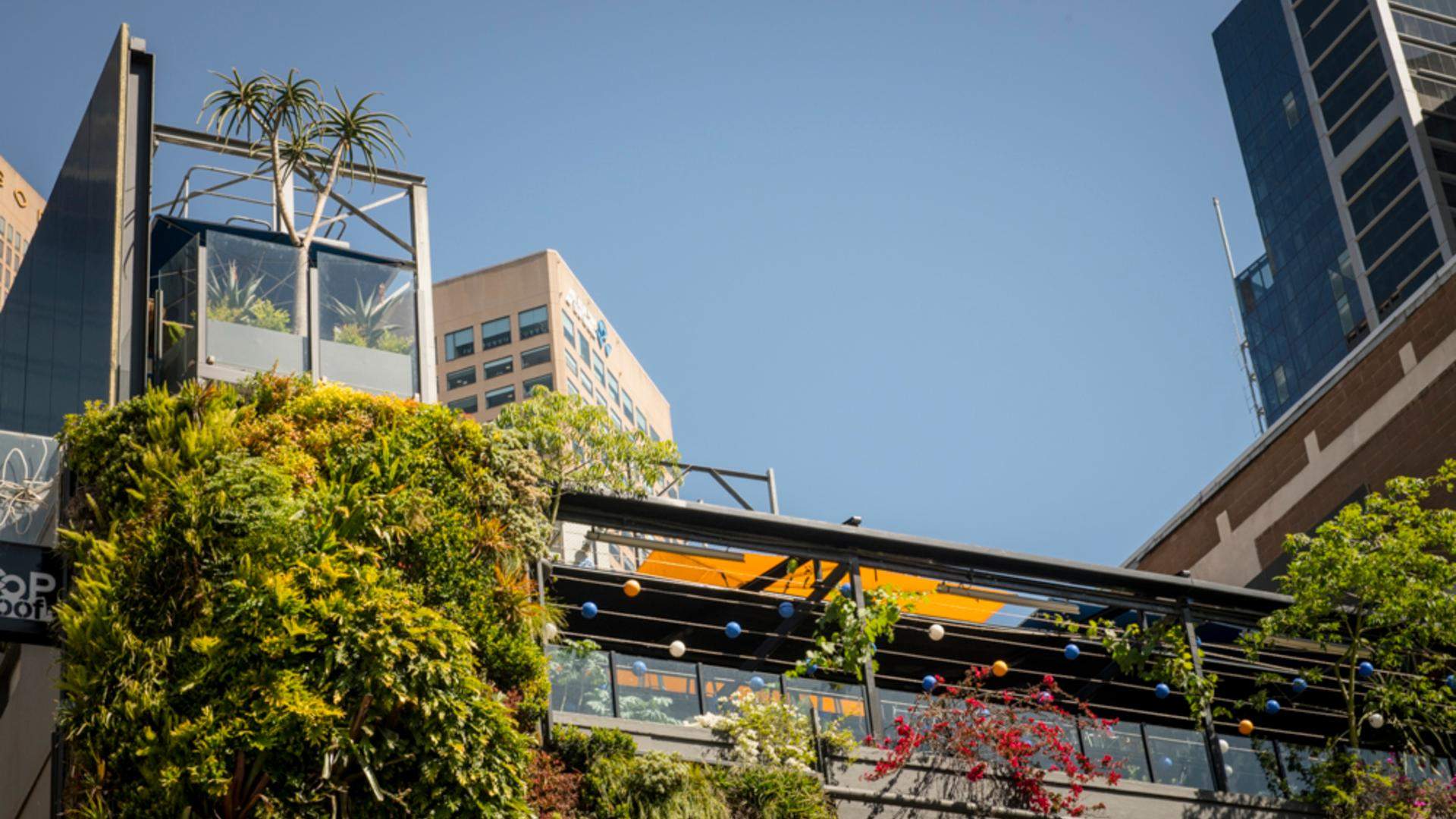 Loop Has Opened a Second Greenery-Filled Rooftop Bar in the CBD