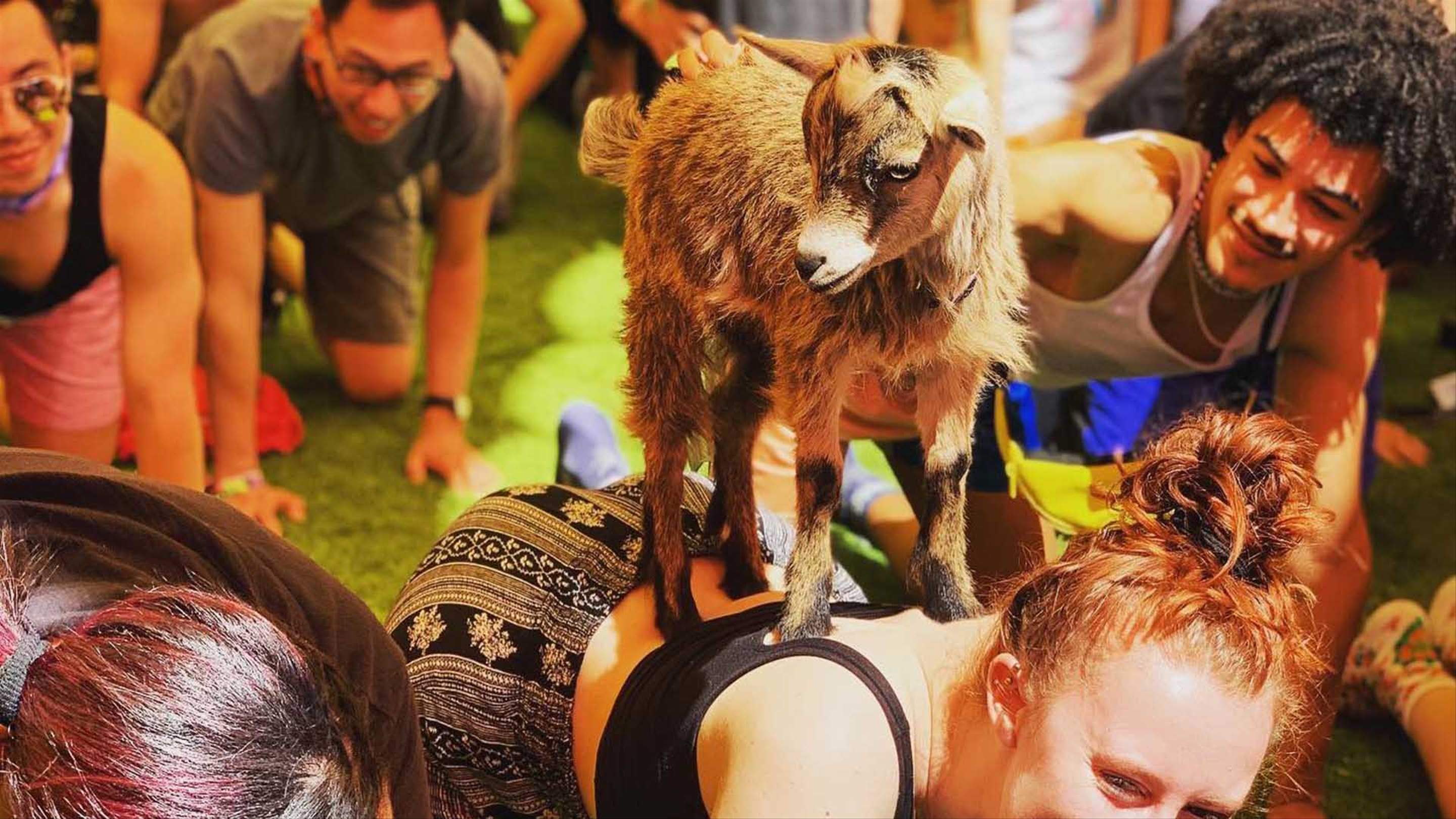 Lost Paradise Has Unveiled Its DanceHeavy New Year