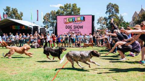 Newtown Festival 2019