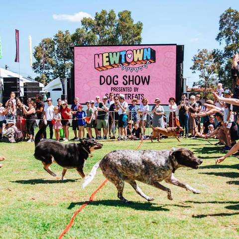 Newtown Festival 2019