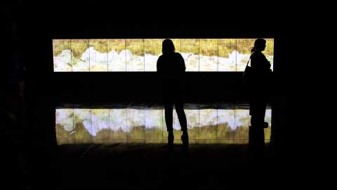 TeamLab: Reversible Rotation