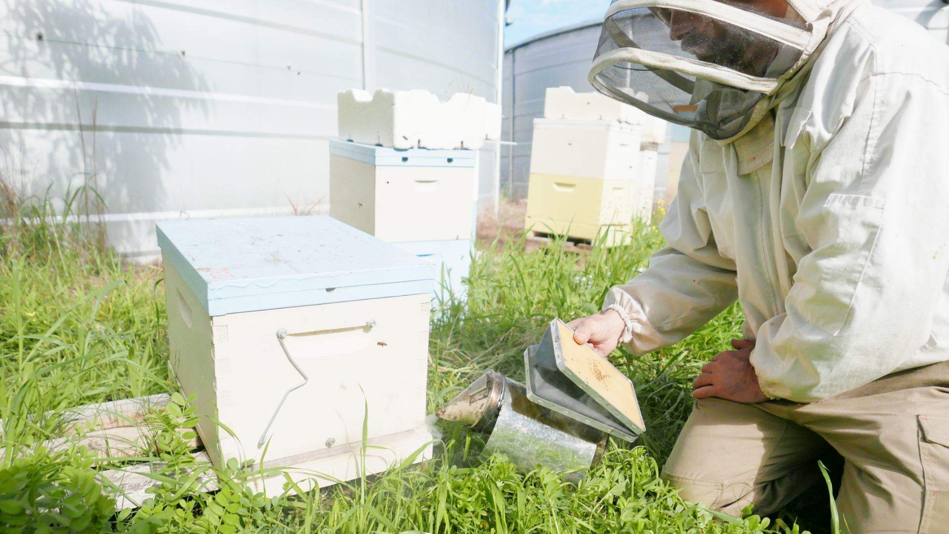 Alphington Will Soon Be Home to a Community Beekeeping School