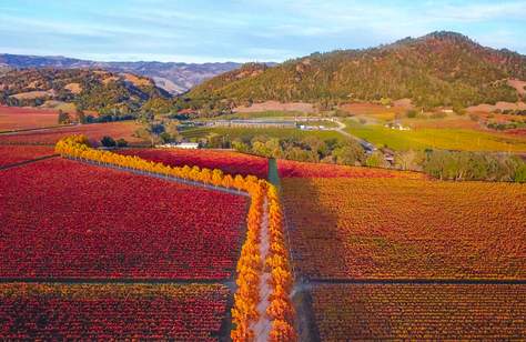 Discover Sonoma County