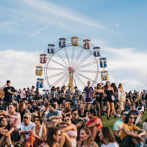 The Big Pineapple Festival