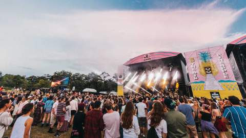 The Big Pineapple Festival