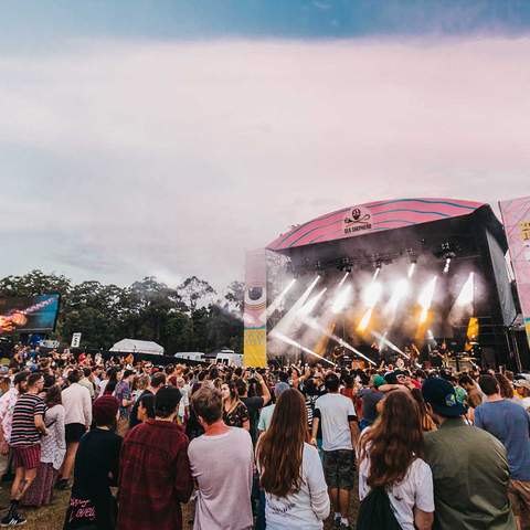 The Big Pineapple Festival