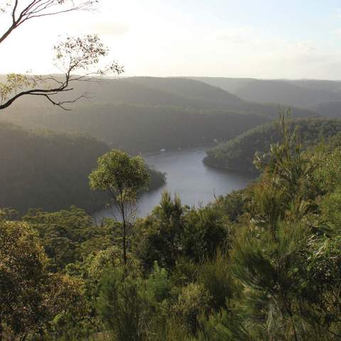 Barnetts lookout - day trips best from sydney