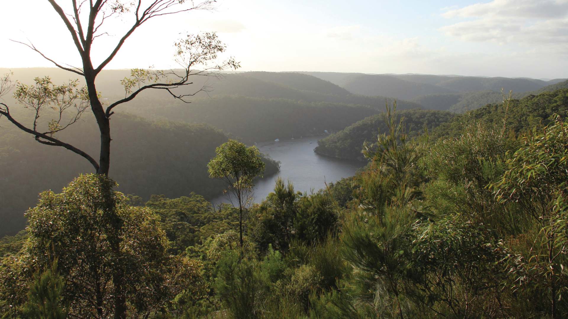 Barnetts lookout - day trips best from sydney