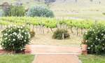 Brindabella Hills Winery