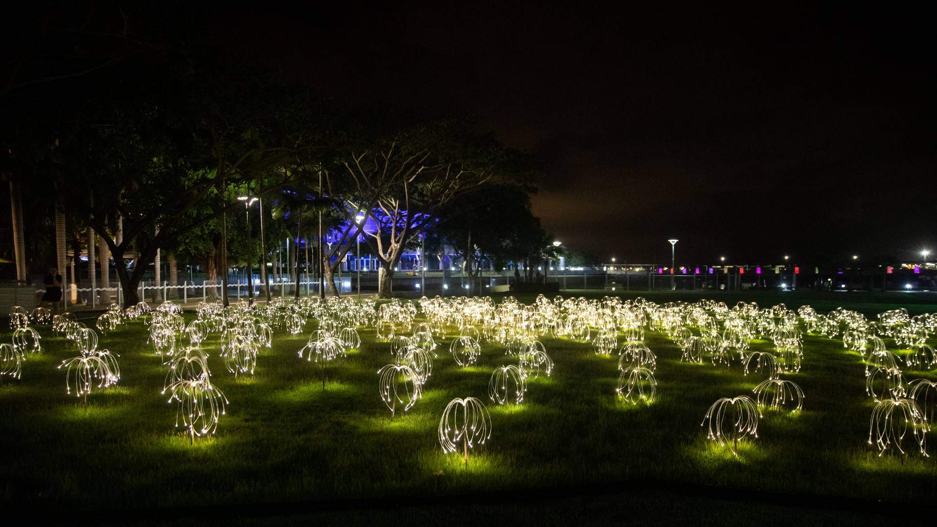 Darwin Is Now Home to an Illuminated Sculpture Trail from the Artist Behind Uluru's 'Field of Light'