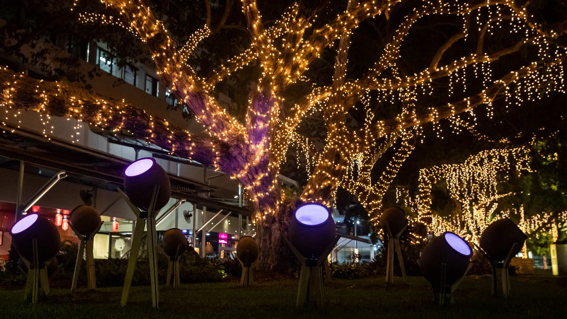 Darwin Is Now Home to an Illuminated Sculpture Trail from the Artist Behind Uluru's 'Field of Light'