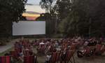 Cameo Outdoor Cinema 2023–24