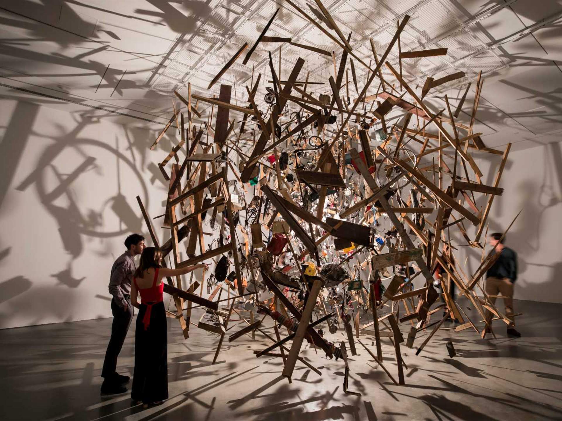 Виды и техники современного искусства. Корнелии Паркер (Cornelia Parker). Холодная темная материя инсталляция.