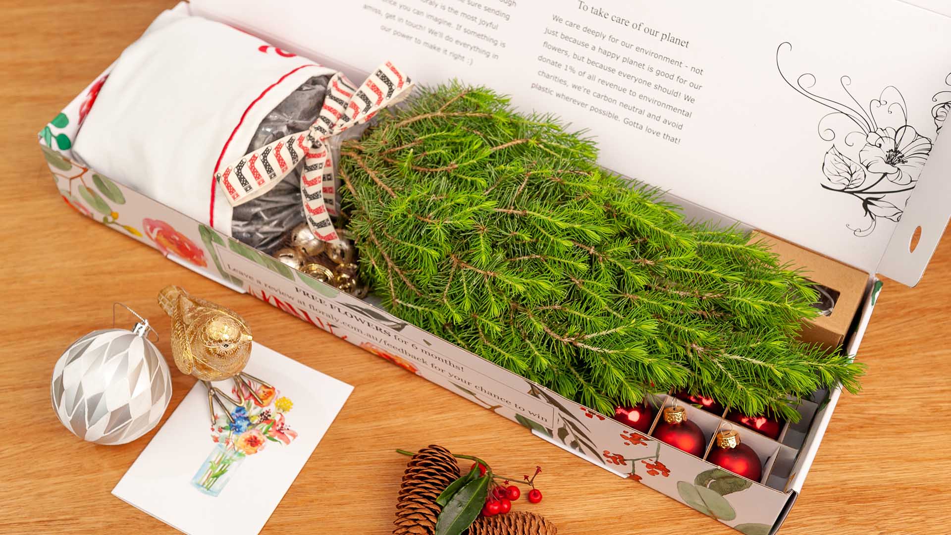 Floraly Is Delivering Tiny Living Christmas Trees to Your Door Again This Festive Season