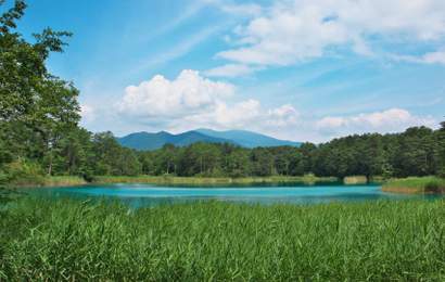 Background image for Five Nature Trails to Complete When You Visit Japan's Stunning Tohoku Region