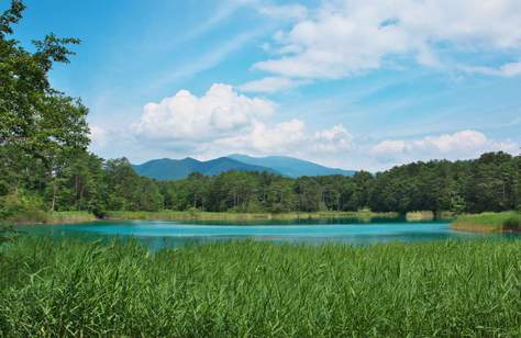 Five Nature Trails to Complete When You Visit Japan's Stunning Tohoku Region