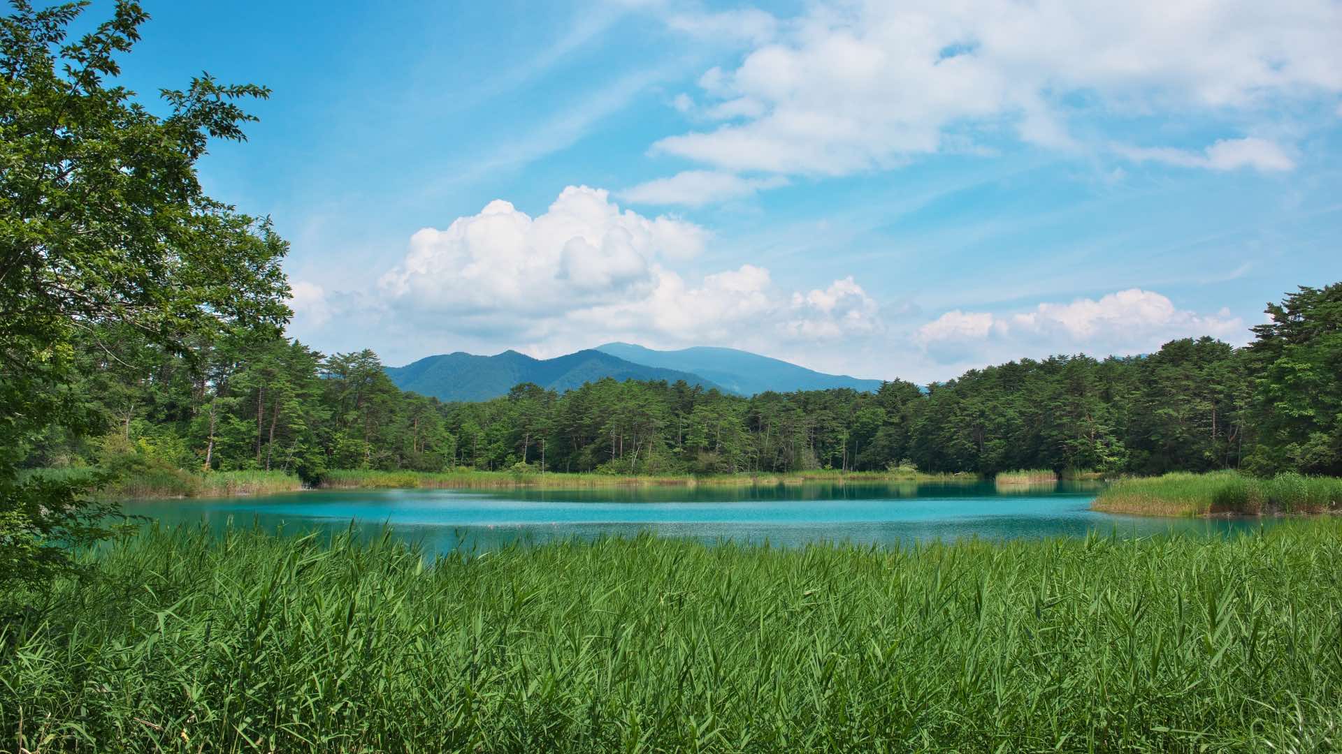 Five Nature Trails to Complete When You Visit Japan's Stunning Tohoku Region