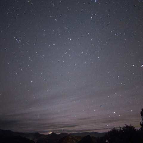 The Historic Leonids Meteor Shower Is Soaring Through the Sky This Week