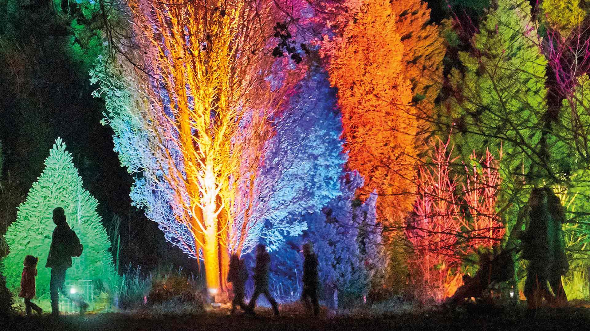 After-Dark Light Festival Lightscape Will Brighten Up the Royal Botanic Gardens Melbourne This Winter