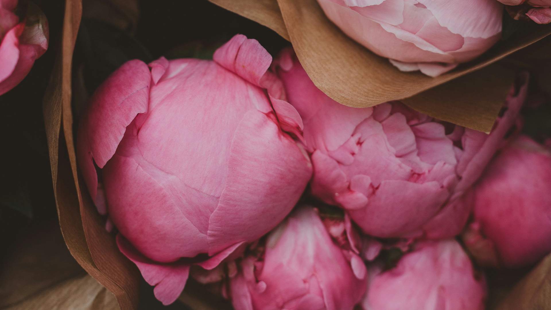 Peony Market Day