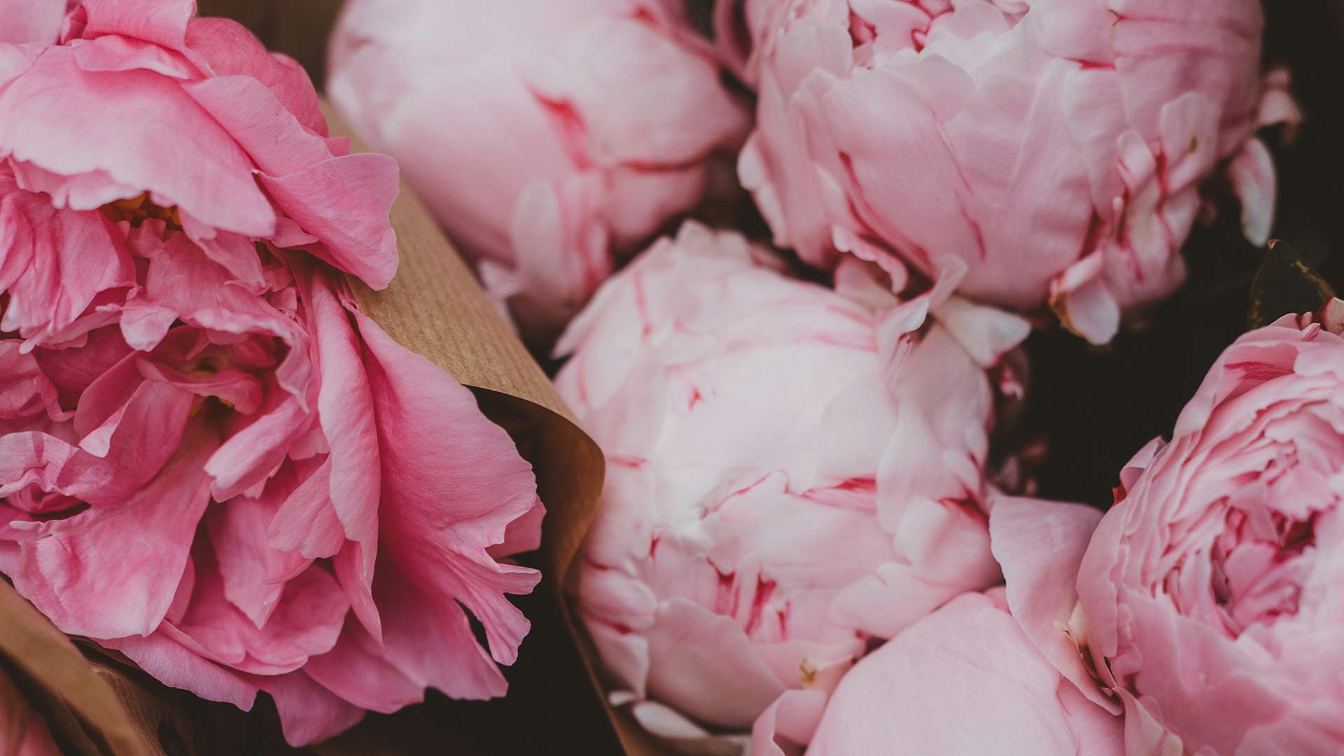 Peony Market Day