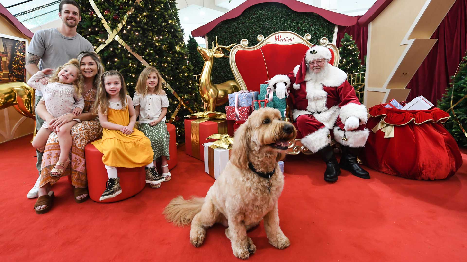 where can my dog take a picture with santa