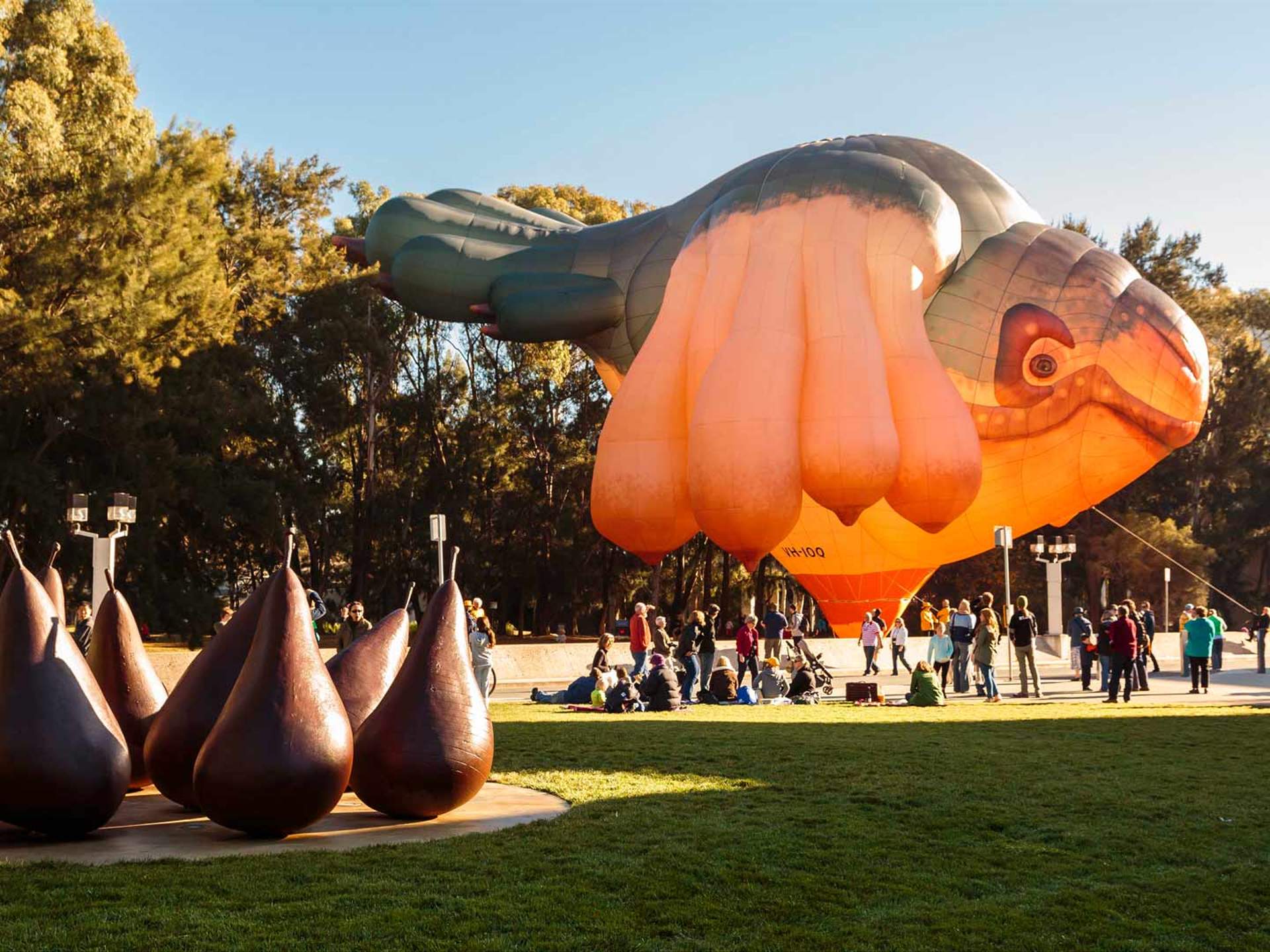 Patricia Piccinini's Otherworldy 'Skywhale' Took Flight Today ...