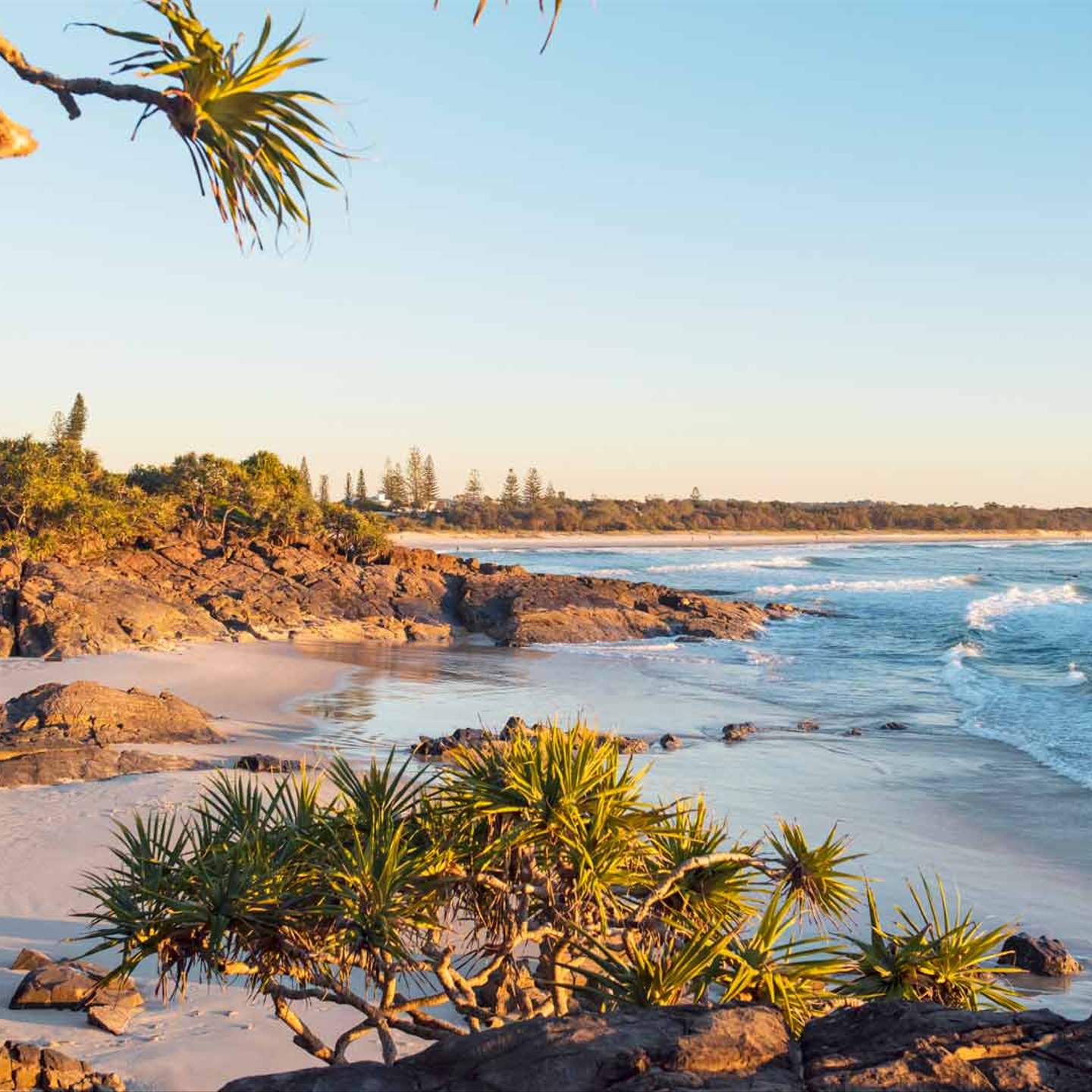 Nsw S Cabarita Beach Has Been Named Australia S Best Beach For 2020 Concrete Playground Concrete Playground Brisbane