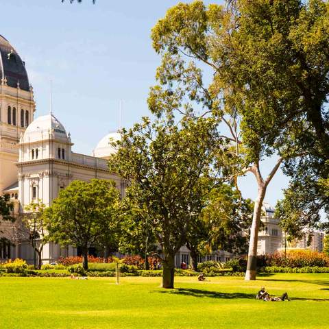 People relaxing on the grass at Carlton Gardens