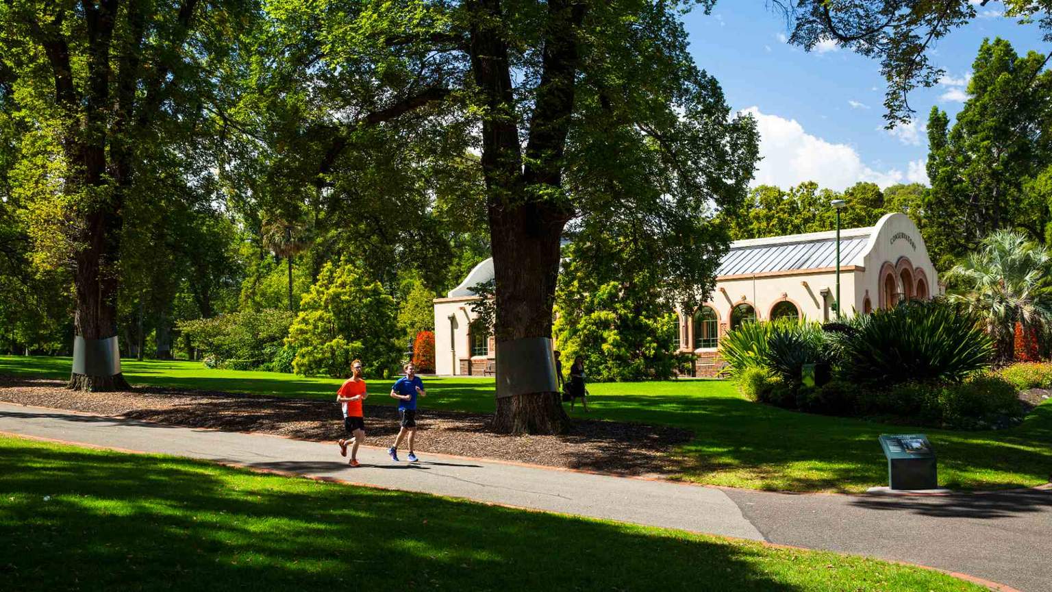 The Best Picnic Spots in Melbourne Concrete Playground