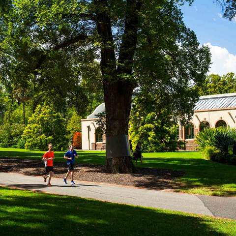 Men running in Fitzroy Gardens