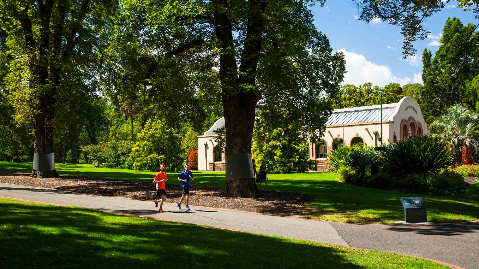 Men running in Fitzroy Gardens