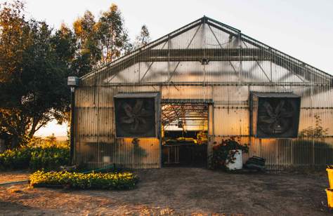 Why You Should Visit California's Sonoma County If You're Passionate About Sustainability