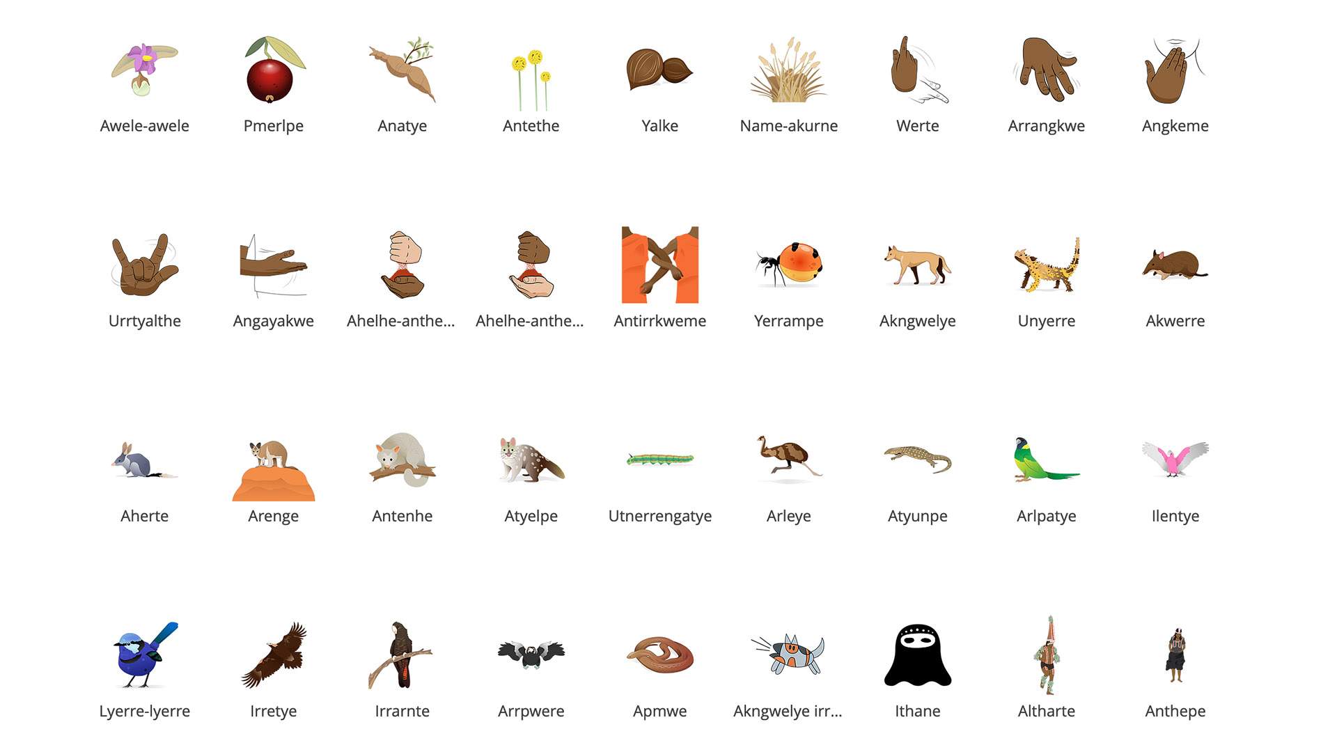 aboriginal animal symbols