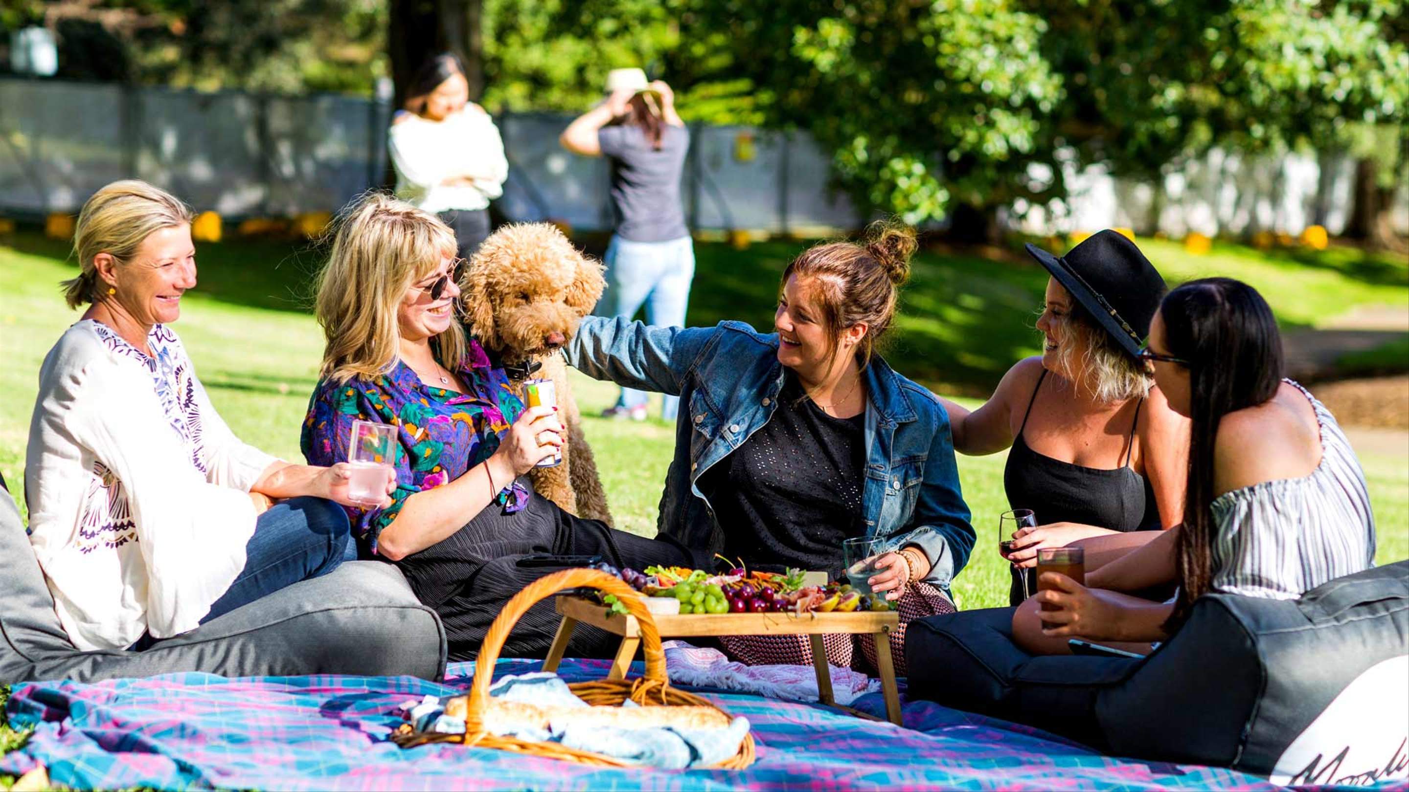 Moonlight Cinema's 202425 Dates Are Here — and So Is the Outdoor