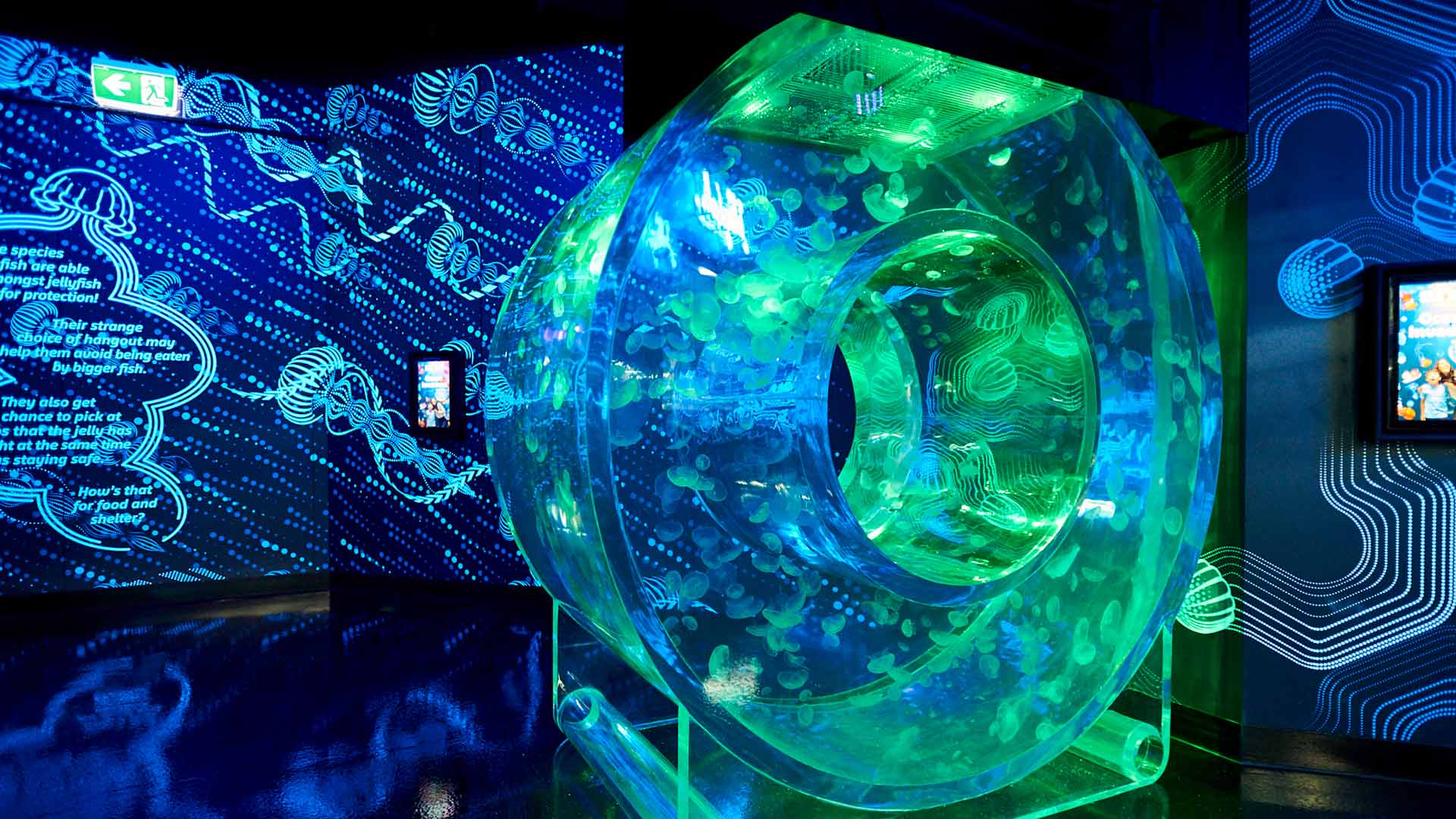 Melbourne Aquarium Is Now Home to an Interactive and Luminous Jellyfish Exhibition