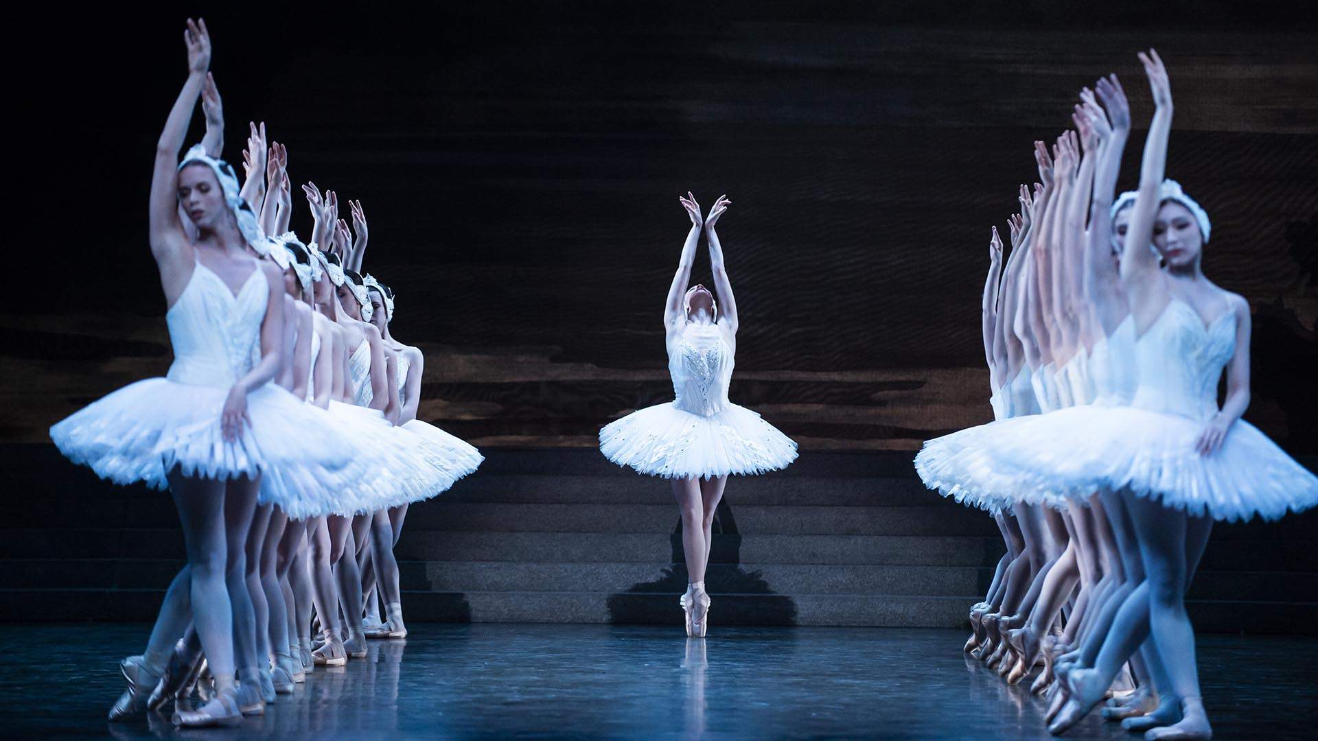 QPAC International Series 2020 — Paris Opera Ballet — CANCELLED