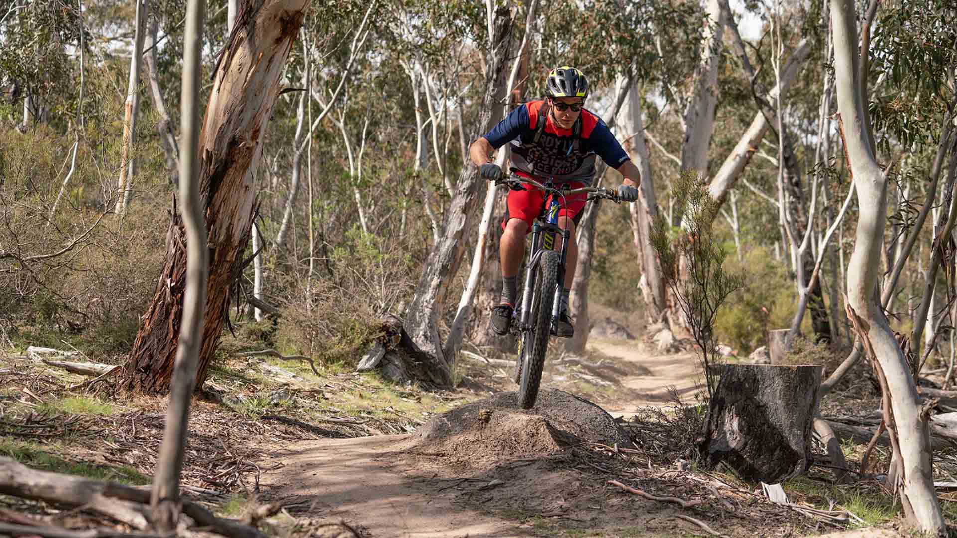 NSW's Thredbo Valley Mountain Biking Track Has Just Opened an 18.4-Kilometre Extension