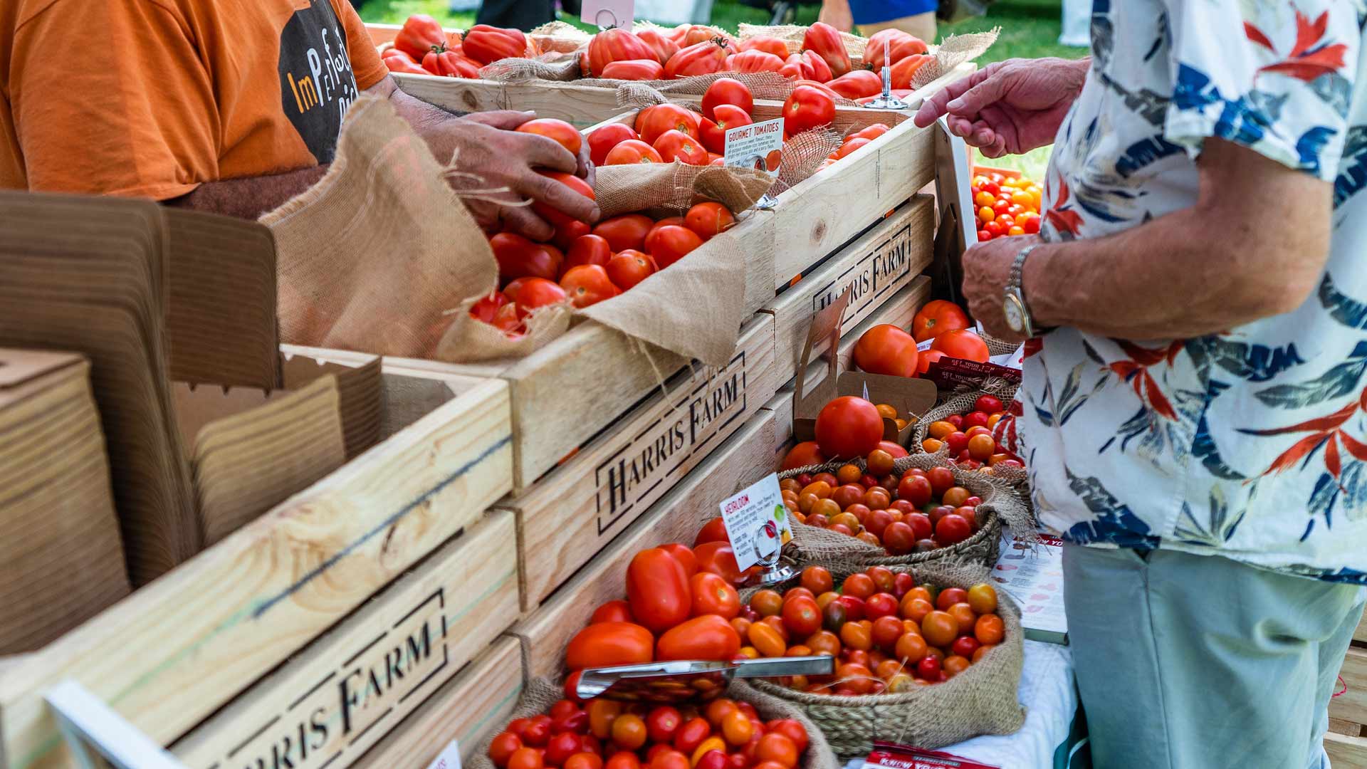 Tomato Festival 2020 Concrete Playground
